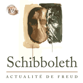 (c) Schibboleth.fr